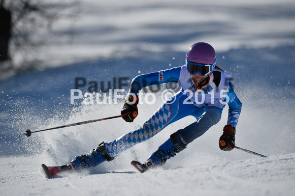 Sechzger Pokal RS 2015
