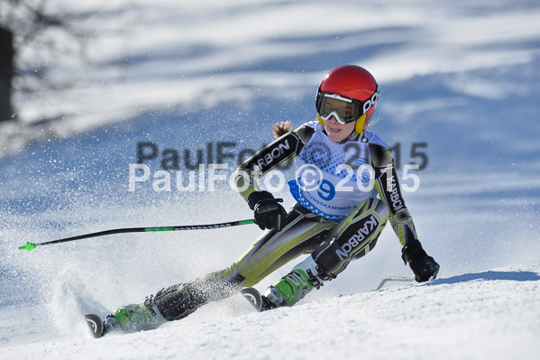 Sechzger Pokal RS 2015