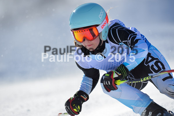 Sechzger Pokal RS 2015
