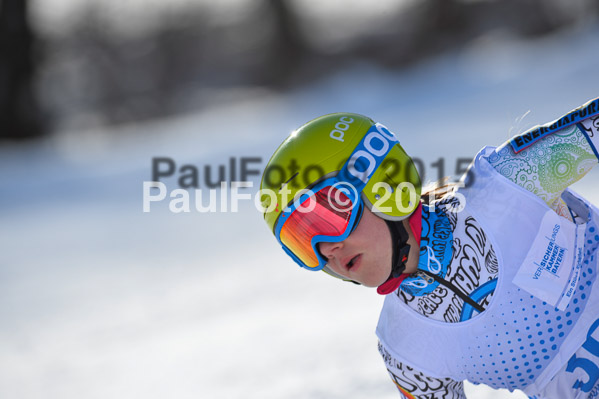 Sechzger Pokal RS 2015