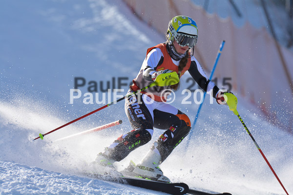 FIS-CIT SL + Bay. Jugendms 2015