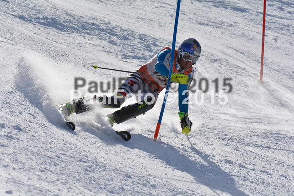 FIS-CIT SL + Bay. Jugendms 2015