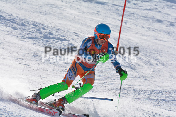 FIS-CIT SL + Bay. Jugendms 2015