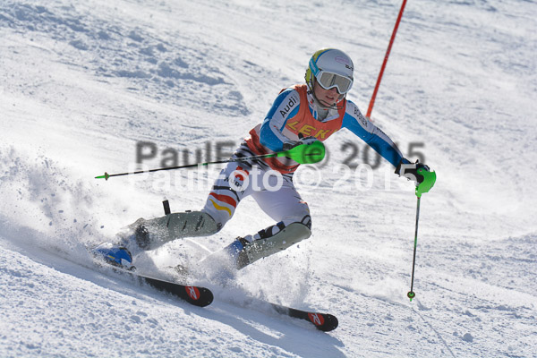 FIS-CIT SL + Bay. Jugendms 2015