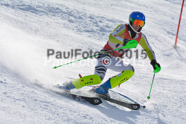 FIS-CIT SL + Bay. Jugendms 2015