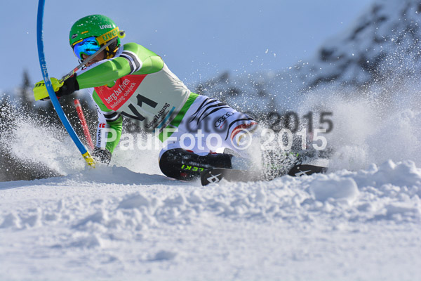 FIS-CIT SL + Bay. Jugendms 2015