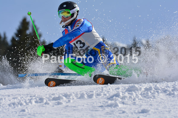 FIS-CIT SL + Bay. Jugendms 2015