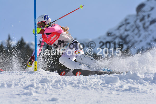 FIS-CIT SL + Bay. Jugendms 2015