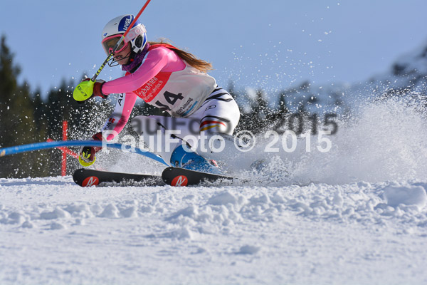 FIS-CIT SL + Bay. Jugendms 2015