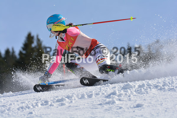 FIS-CIT SL + Bay. Jugendms 2015