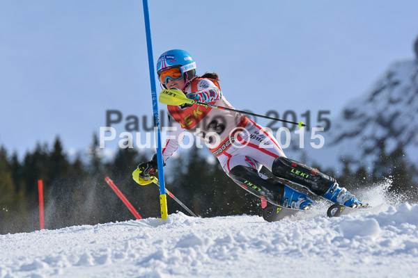 FIS-CIT SL + Bay. Jugendms 2015