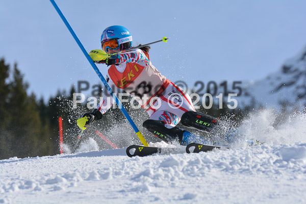 FIS-CIT SL + Bay. Jugendms 2015