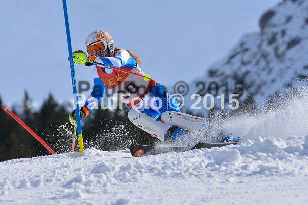FIS-CIT SL + Bay. Jugendms 2015
