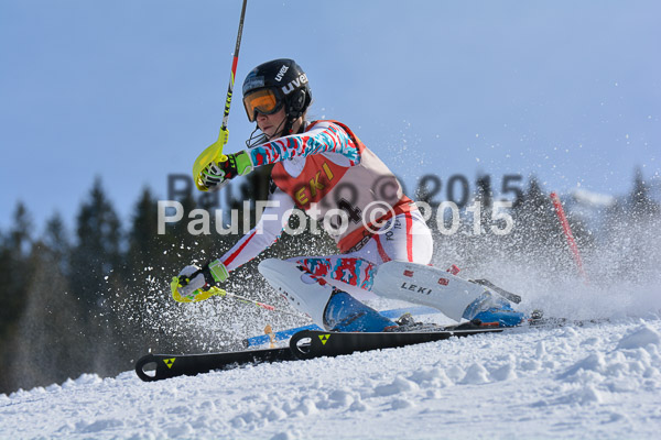 FIS-CIT SL + Bay. Jugendms 2015