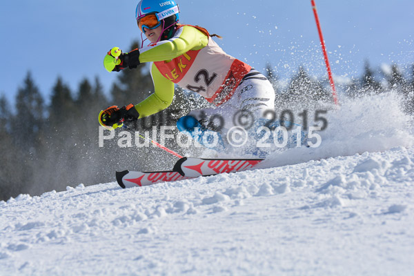 FIS-CIT SL + Bay. Jugendms 2015