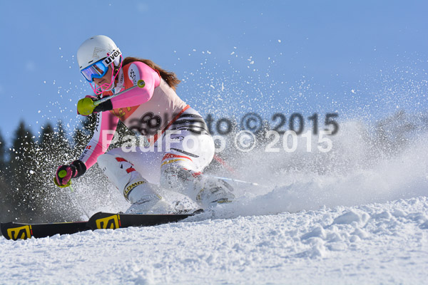 FIS-CIT SL + Bay. Jugendms 2015