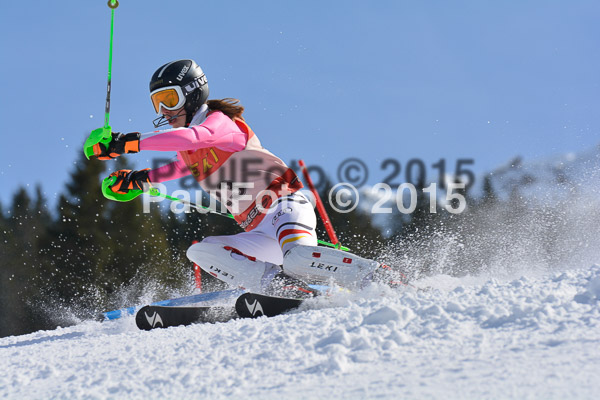 FIS-CIT SL + Bay. Jugendms 2015