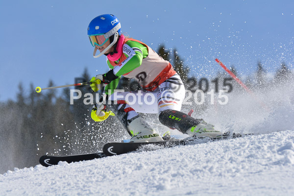 FIS-CIT SL + Bay. Jugendms 2015