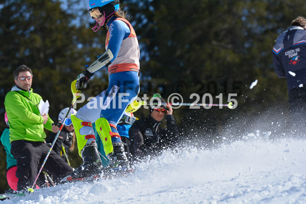 FIS-CIT SL + Bay. Jugendms 2015