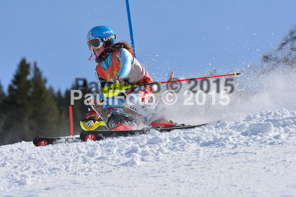 FIS-CIT SL + Bay. Jugendms 2015
