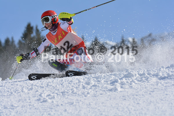 FIS-CIT SL + Bay. Jugendms 2015