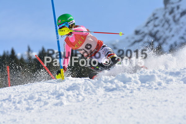 FIS-CIT SL + Bay. Jugendms 2015