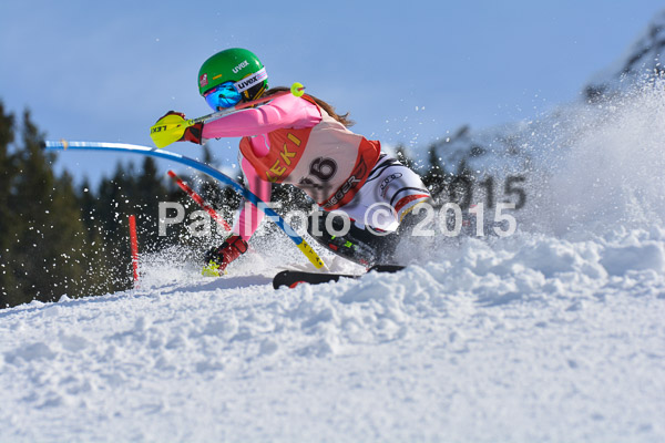 FIS-CIT SL + Bay. Jugendms 2015