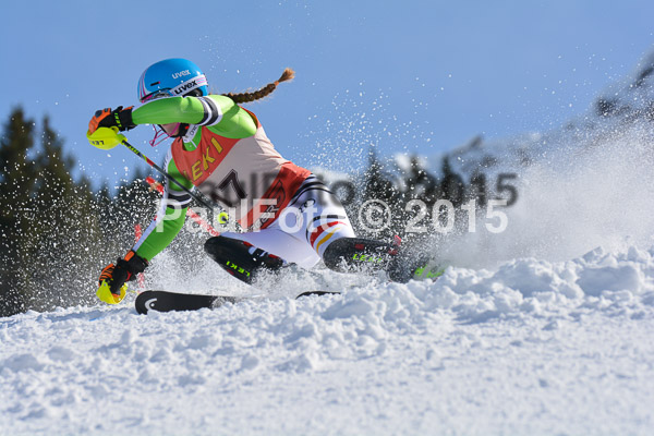 FIS-CIT SL + Bay. Jugendms 2015