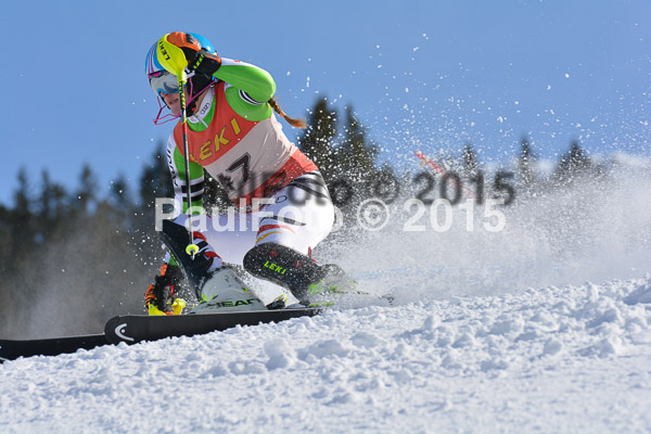 FIS-CIT SL + Bay. Jugendms 2015