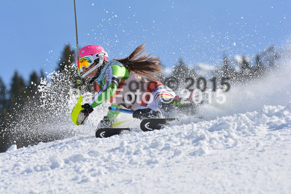 FIS-CIT SL + Bay. Jugendms 2015