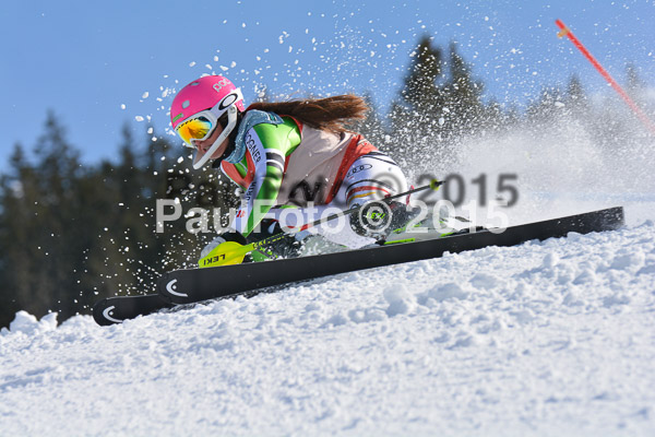 FIS-CIT SL + Bay. Jugendms 2015