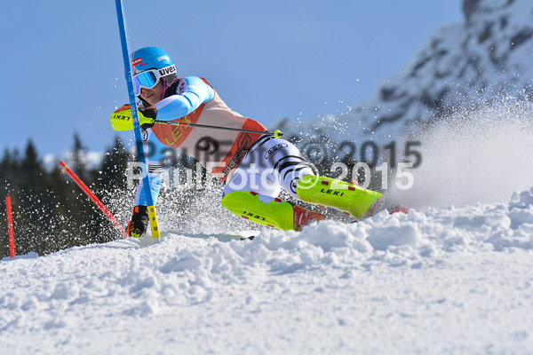 FIS-CIT SL + Bay. Jugendms 2015