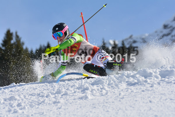 FIS-CIT SL + Bay. Jugendms 2015