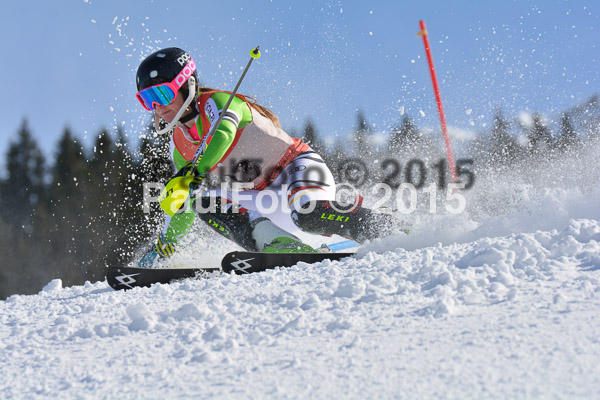 FIS-CIT SL + Bay. Jugendms 2015