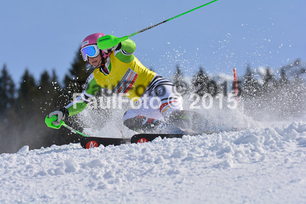 FIS-CIT SL + Bay. Jugendms 2015