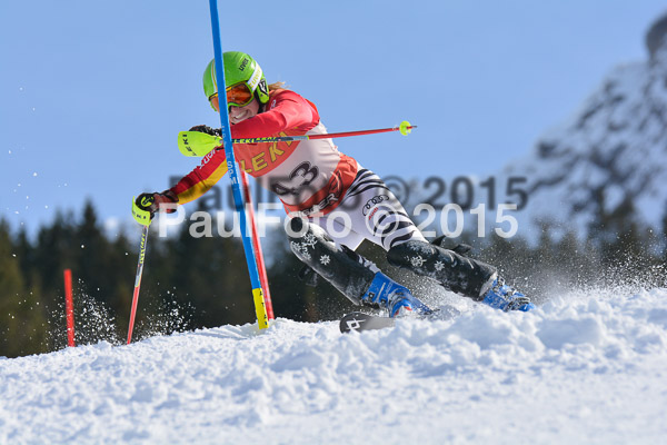 FIS-CIT SL + Bay. Jugendms 2015