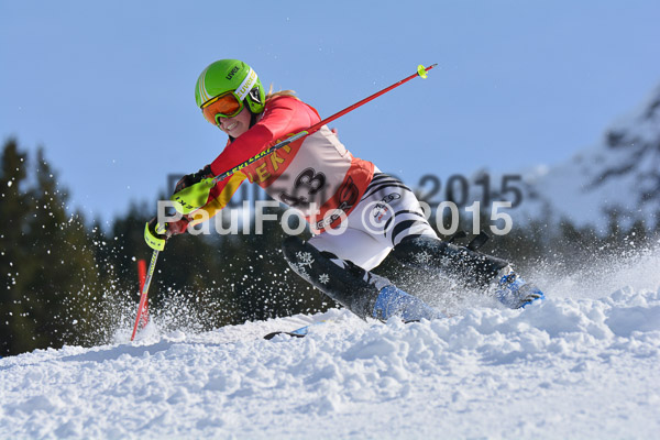 FIS-CIT SL + Bay. Jugendms 2015
