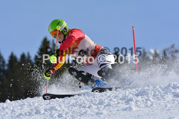 FIS-CIT SL + Bay. Jugendms 2015