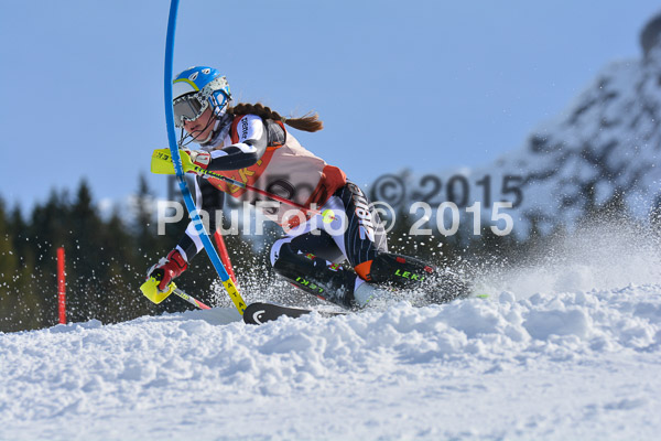 FIS-CIT SL + Bay. Jugendms 2015
