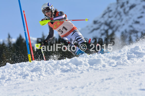 FIS-CIT SL + Bay. Jugendms 2015