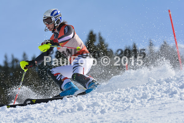 FIS-CIT SL + Bay. Jugendms 2015