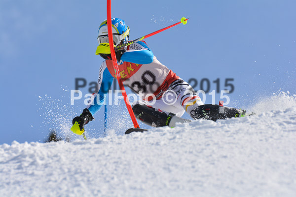 FIS-CIT SL + Bay. Jugendms 2015