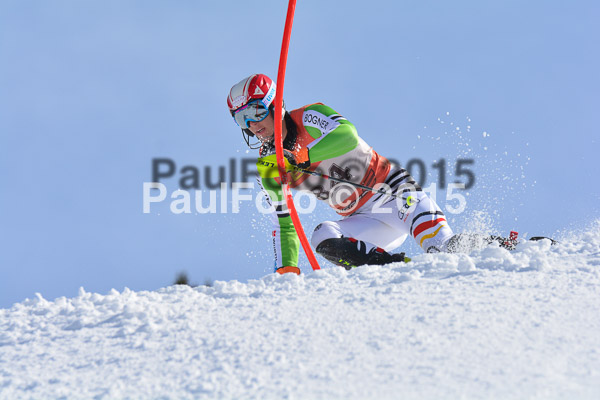 FIS-CIT SL + Bay. Jugendms 2015
