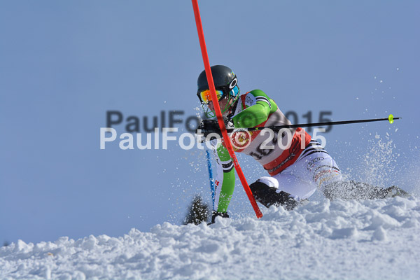 FIS-CIT SL + Bay. Jugendms 2015