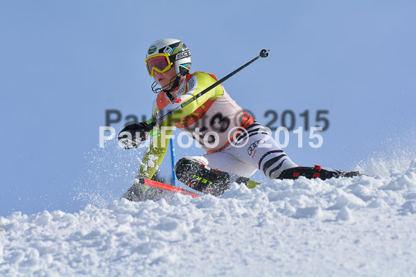FIS-CIT SL + Bay. Jugendms 2015