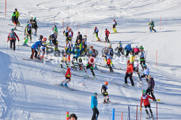 Sechzger Pokal SL 2015