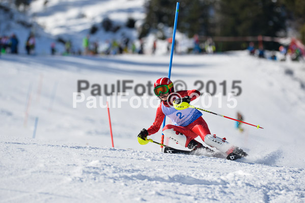 Sechzger Pokal SL 2015