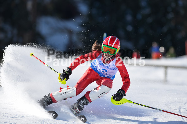 Sechzger Pokal SL 2015