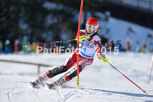 Sechzger Pokal SL 2015