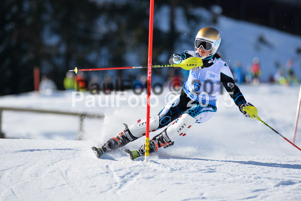 Sechzger Pokal SL 2015